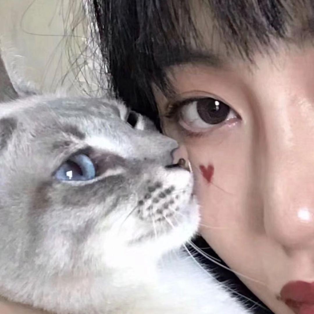 流泪猫猫头