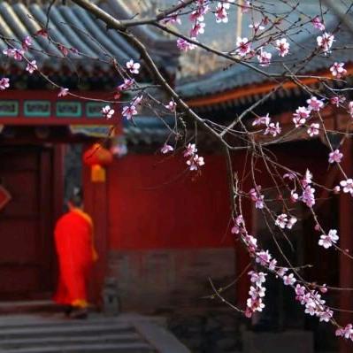 用户940459352111等待