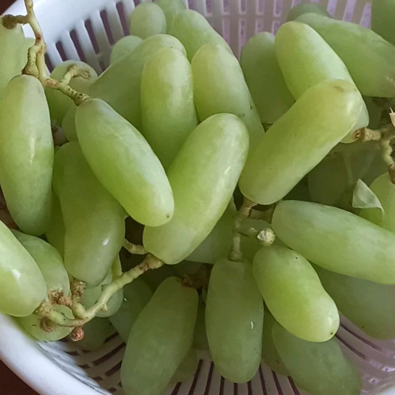 阿華