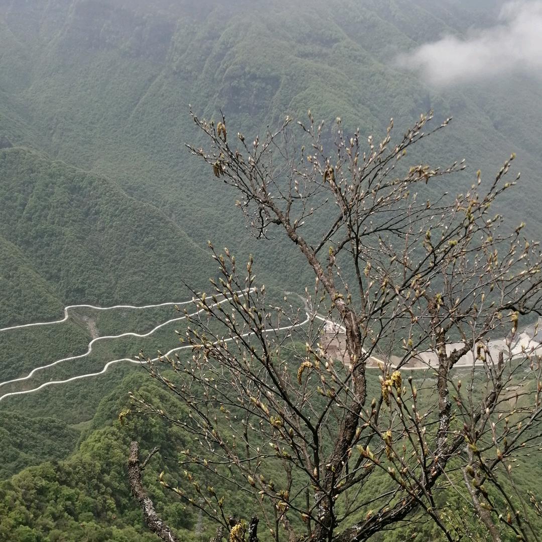 WW  ✨  超哥  💫