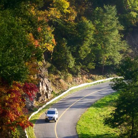 开心一笑《橱窗有好物》