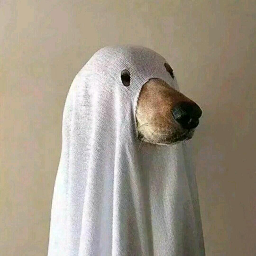 源来是你¹¹⁰⁸