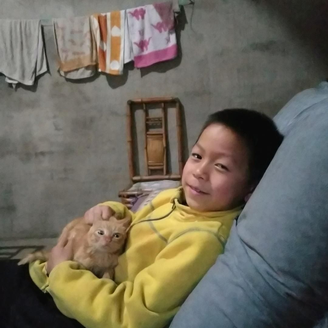 狐单的男人