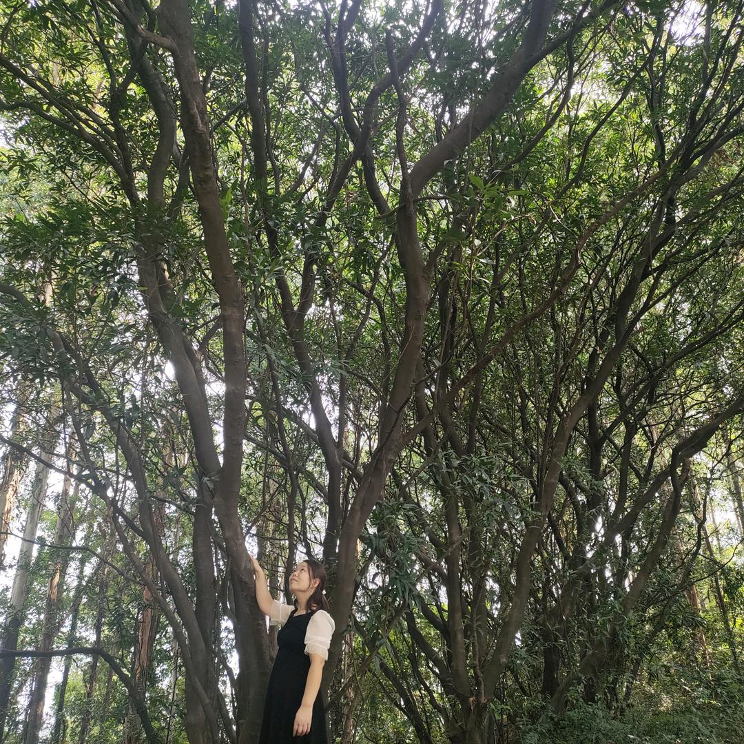 不惑