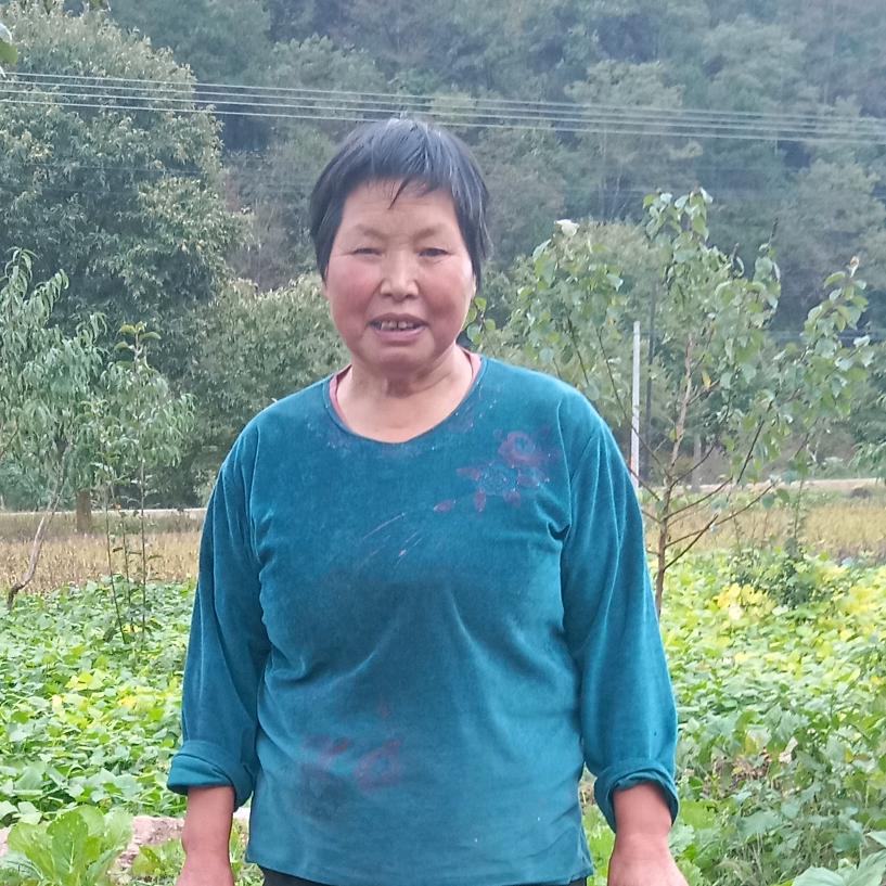 圆圆奶奶
