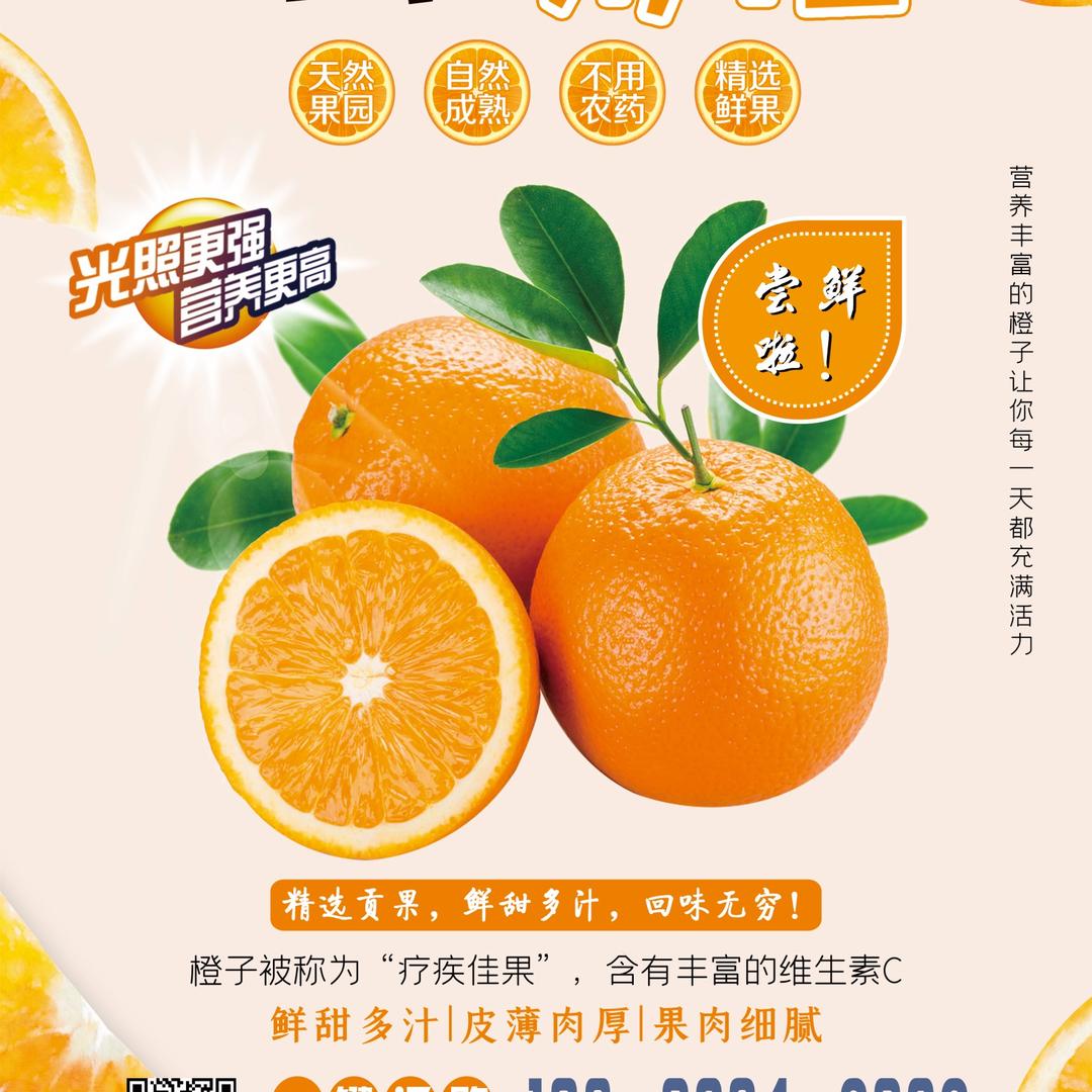 毛 毛