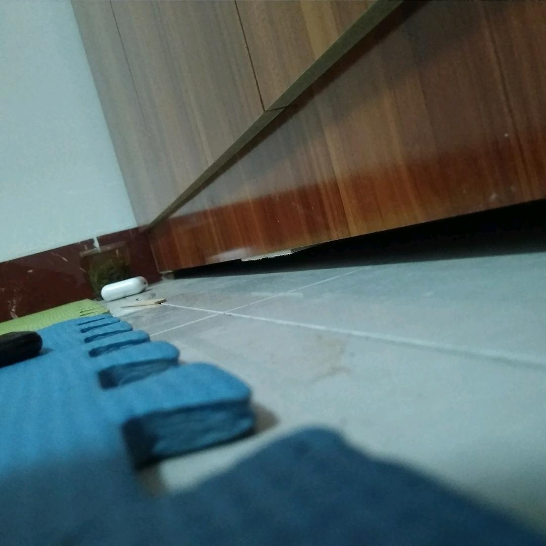 弓箭手1233