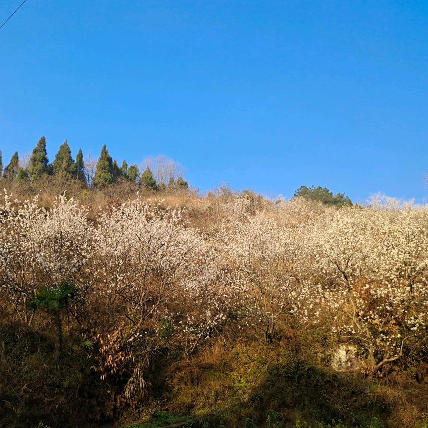 🌈🌈🌈小幸运