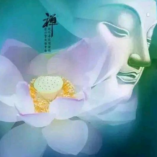 心有山海，静而不争