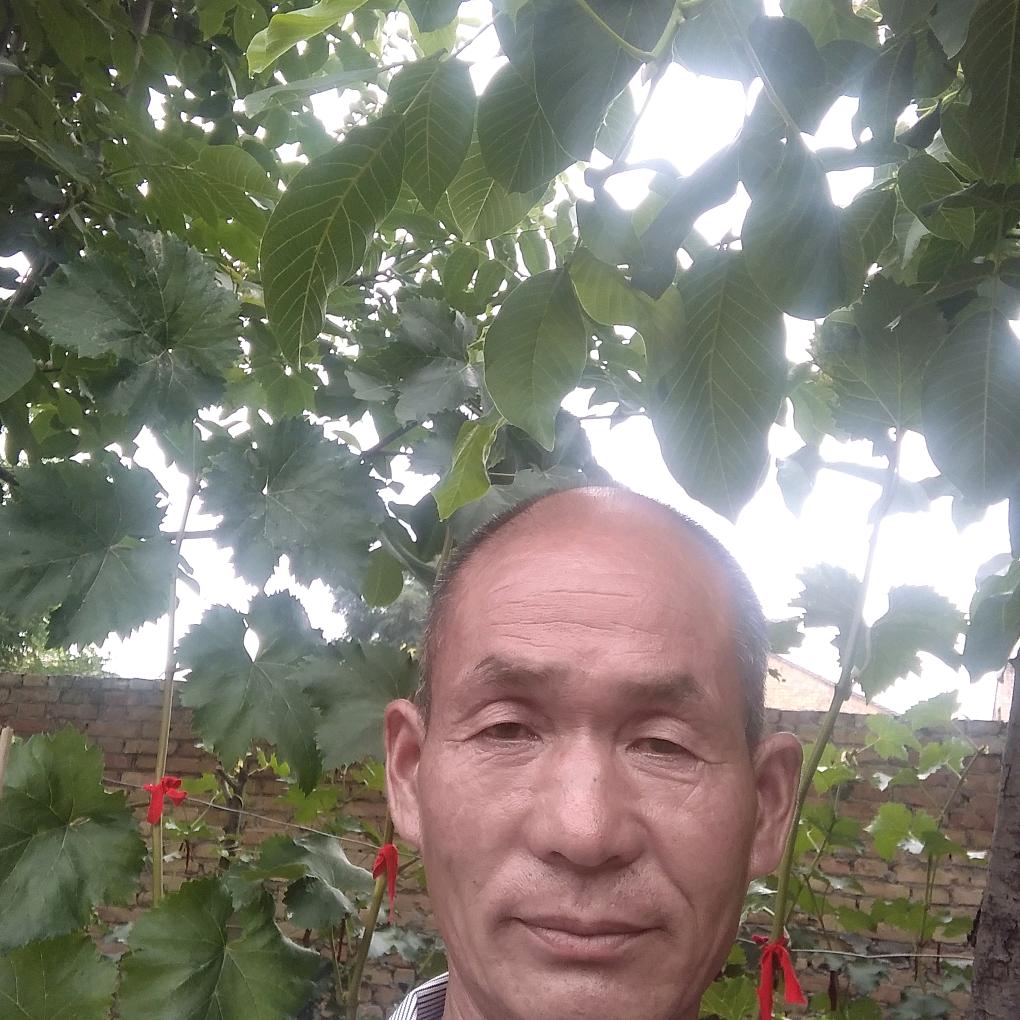 用户1503007949877f