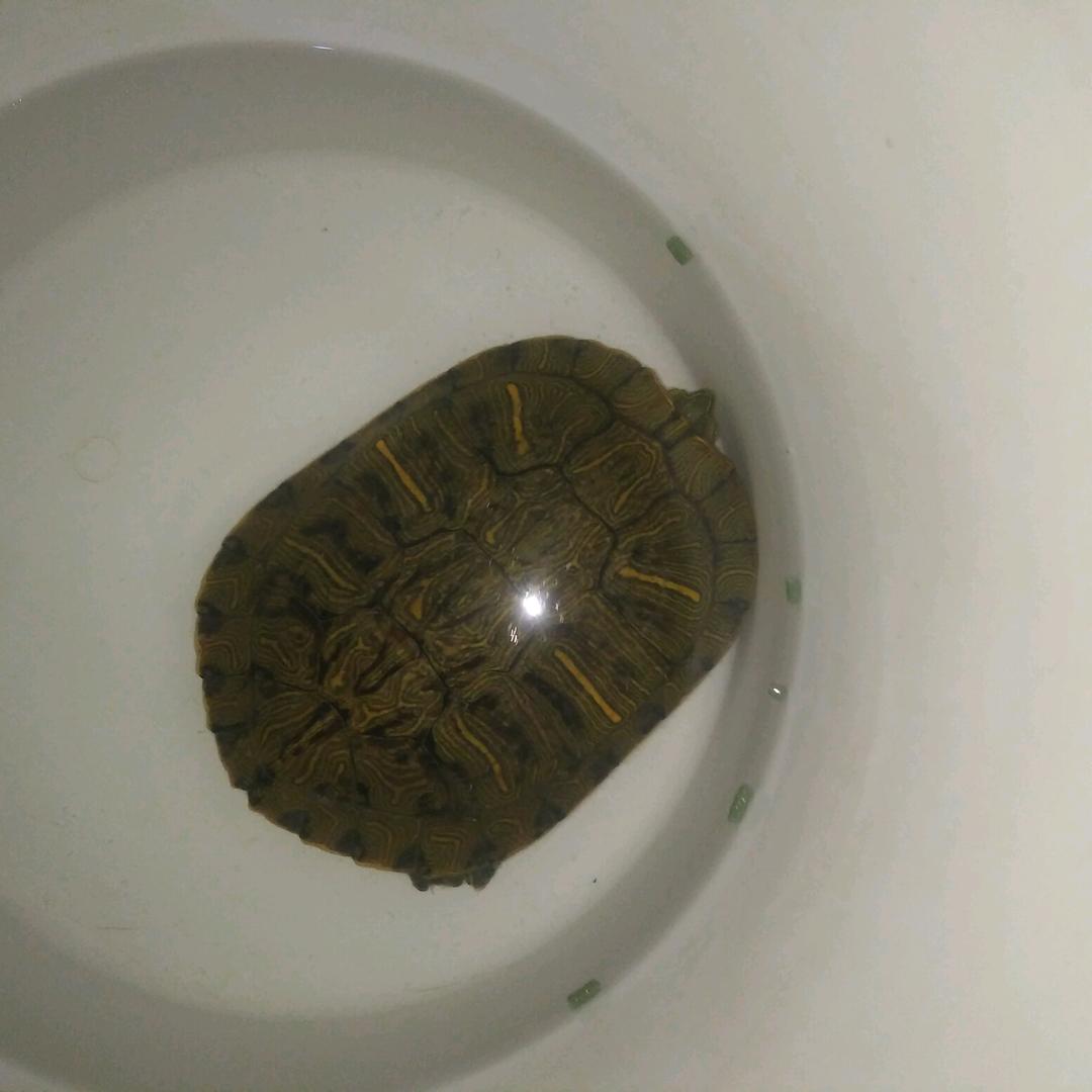 不忘今生