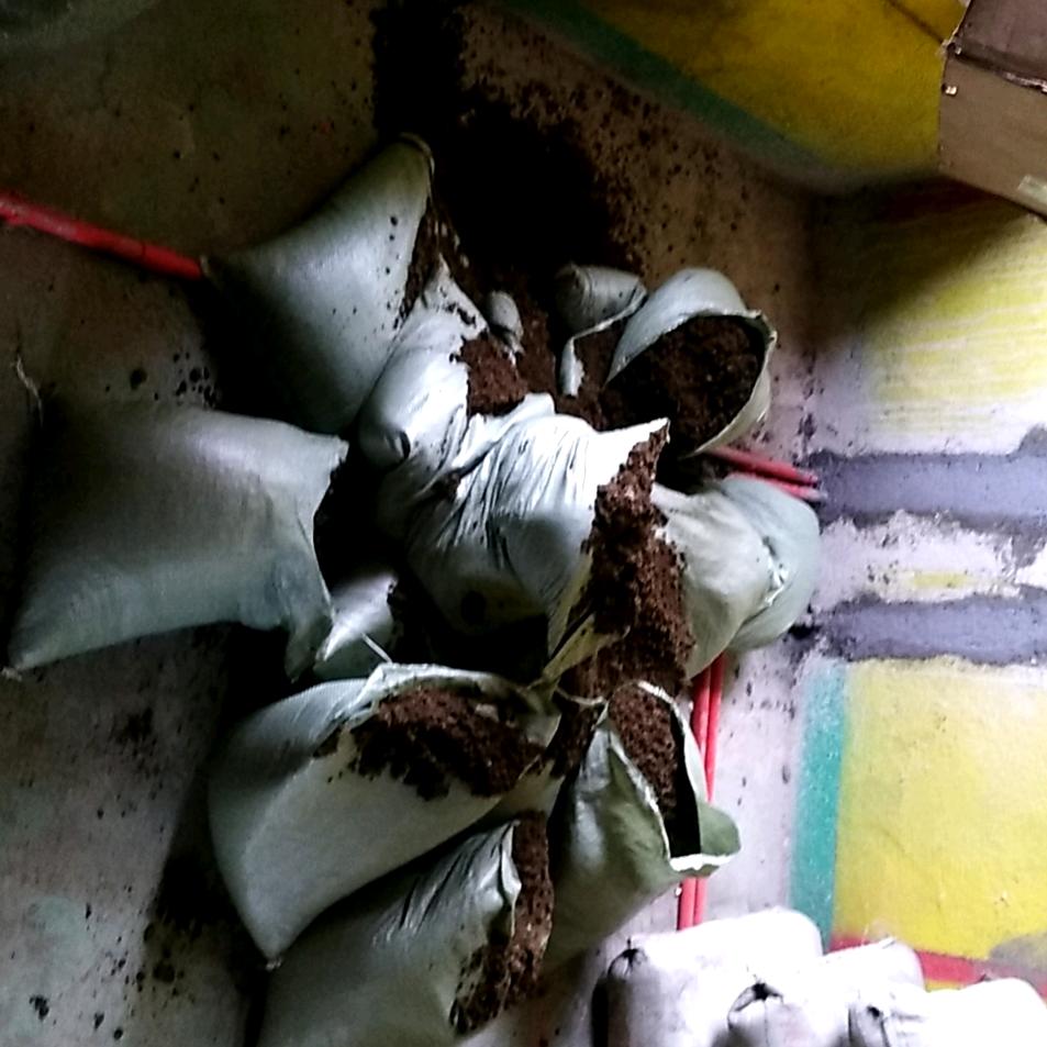 龙哥的生活碎碎念