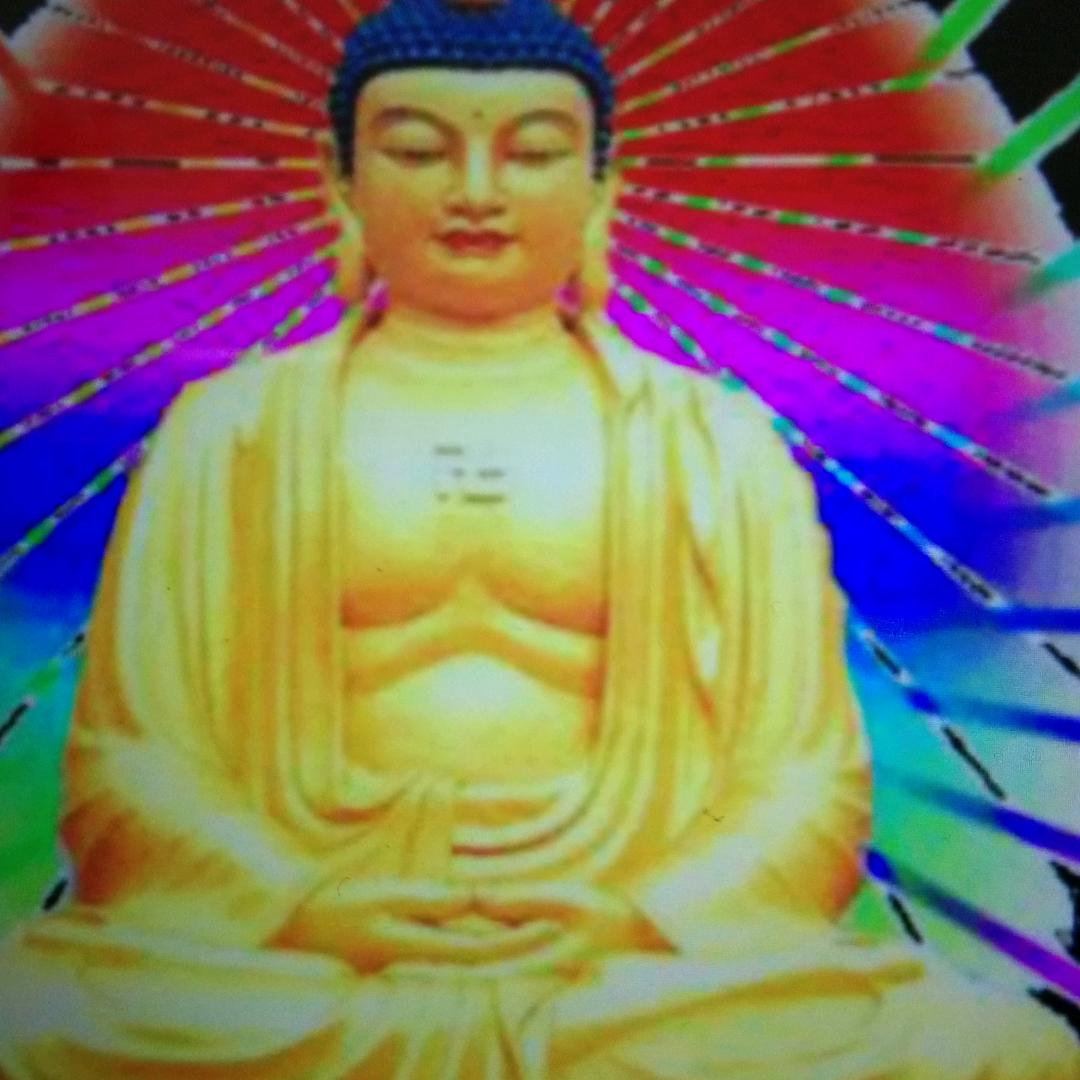 用户顺其自然