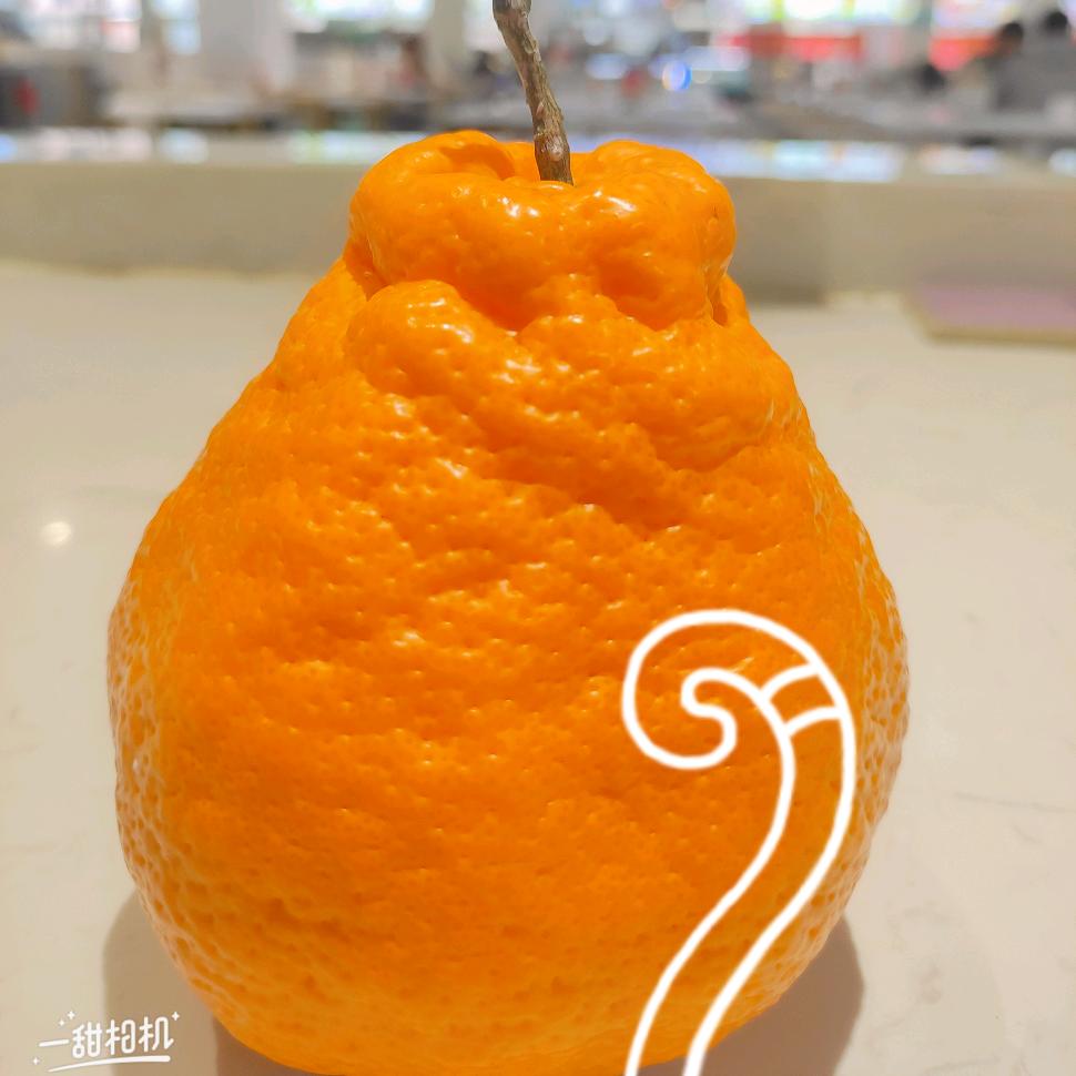 小熊熊