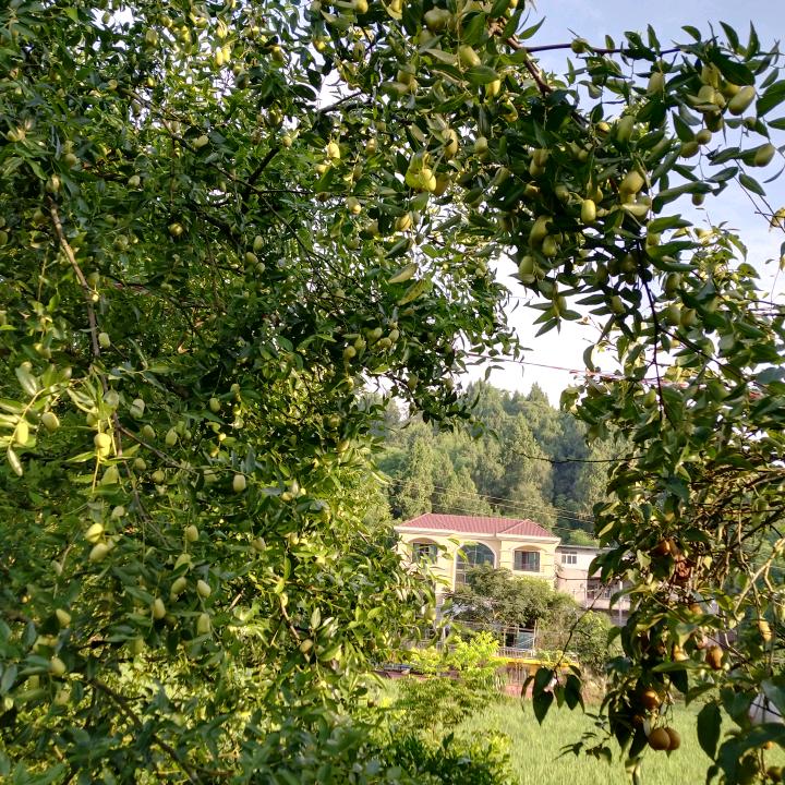 来听听歌看看你。