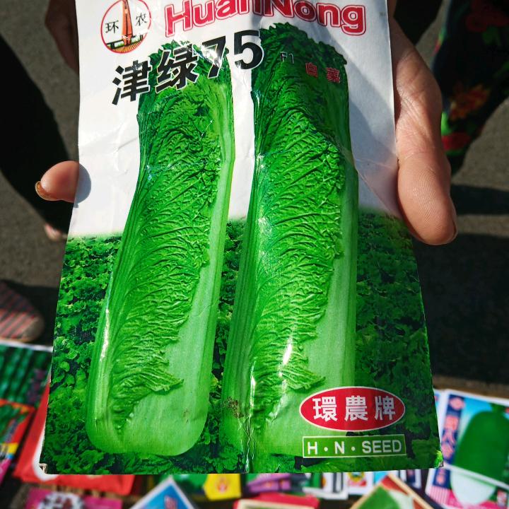 李三菜籽
