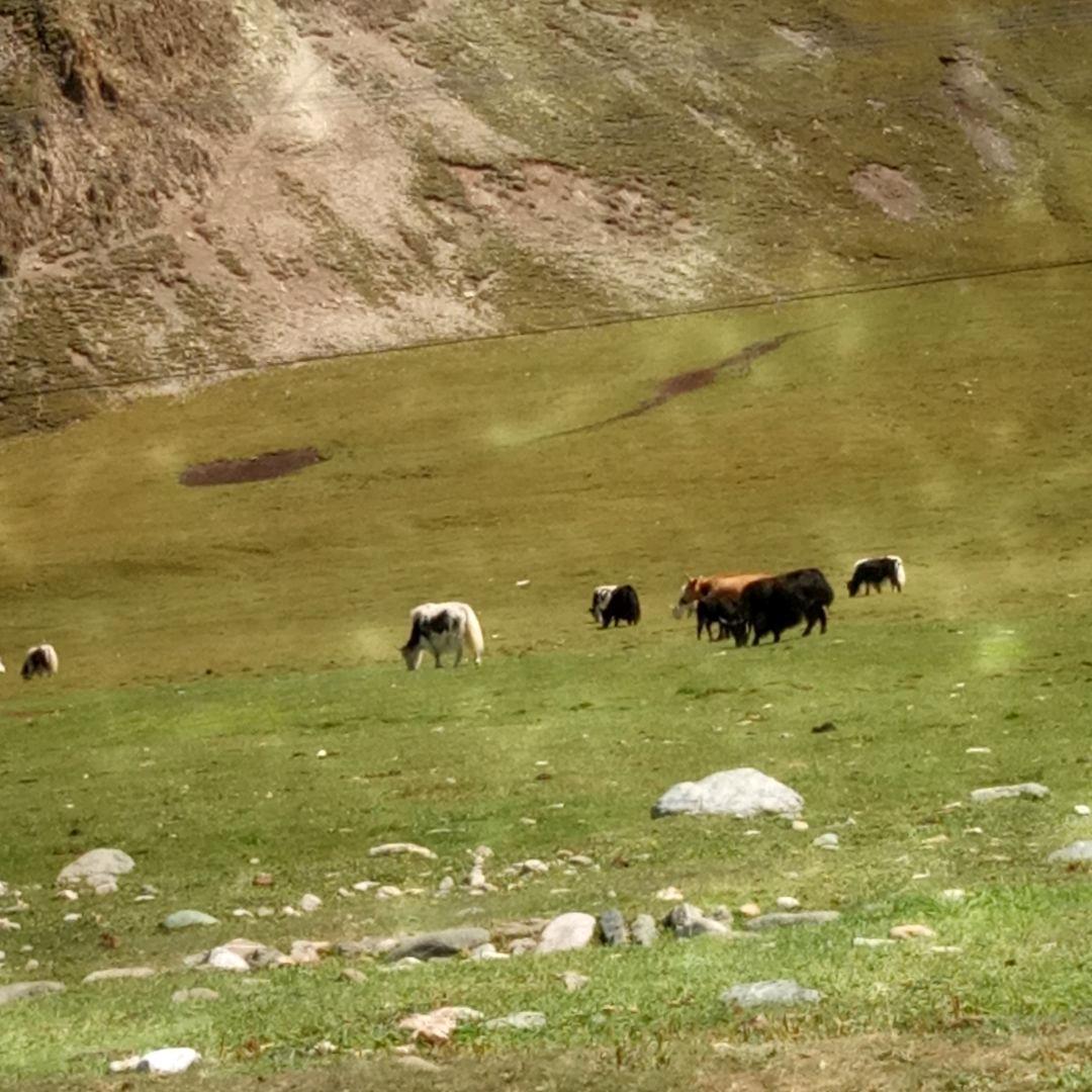 美丽新疆等你来