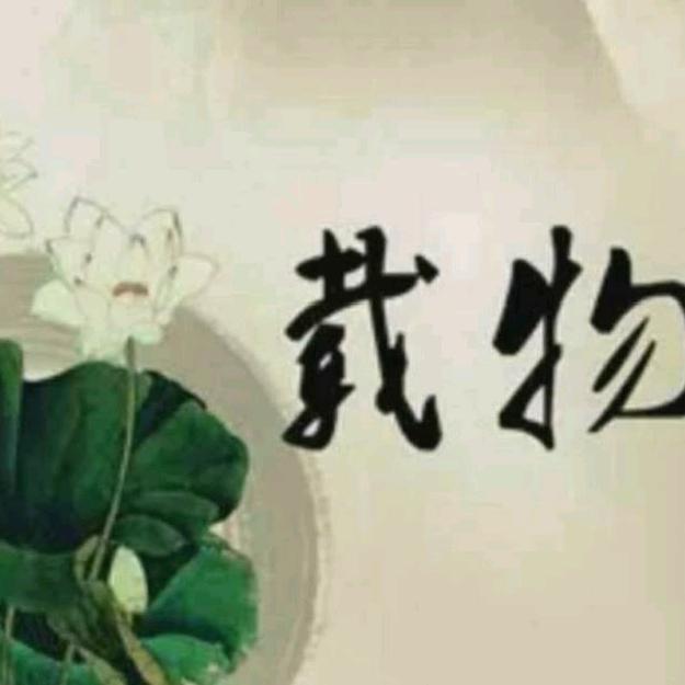 黑石豹纹