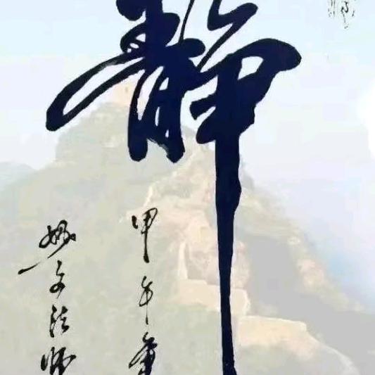 随芯陌路