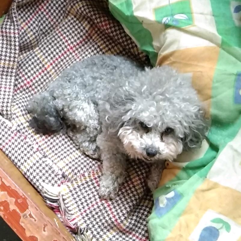 肺活量严重退步