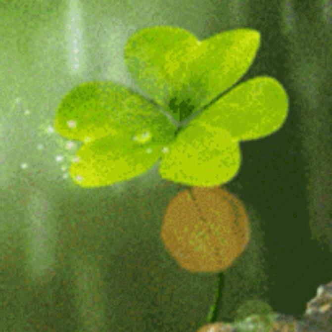 网上散步