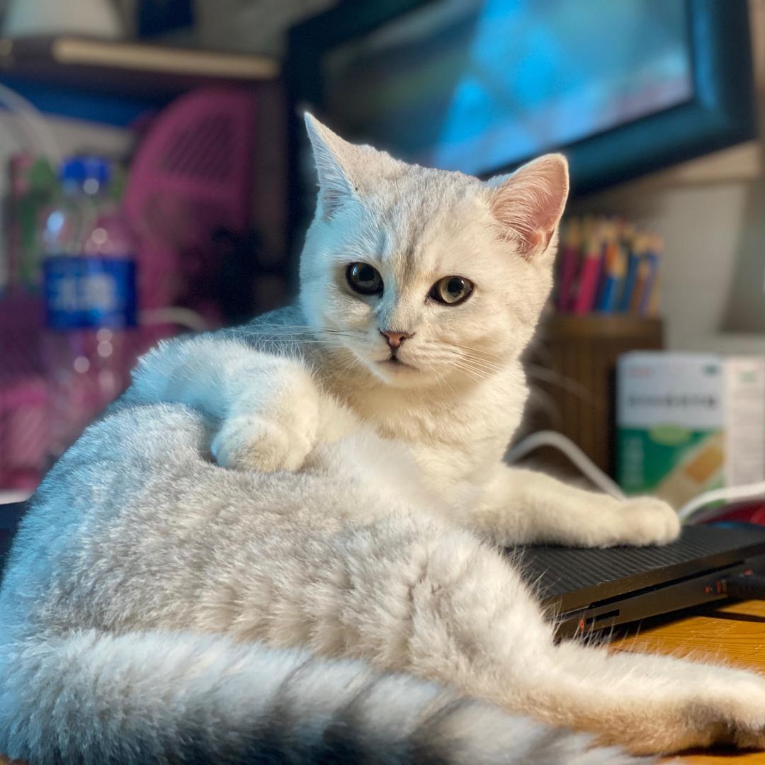 飞翔一直在路上