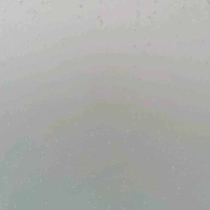 魟蜻蜓
