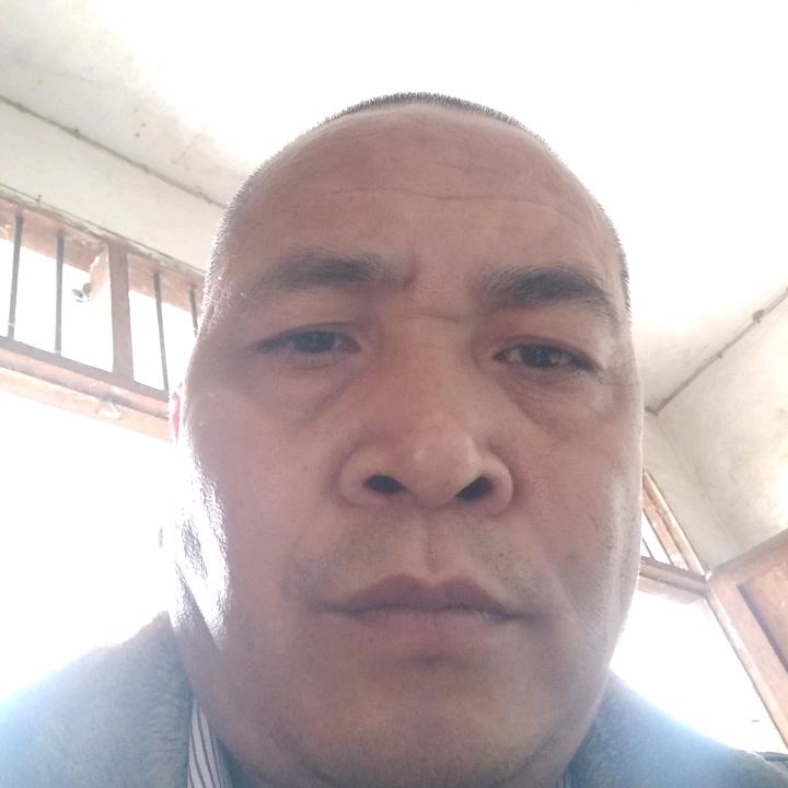 杨