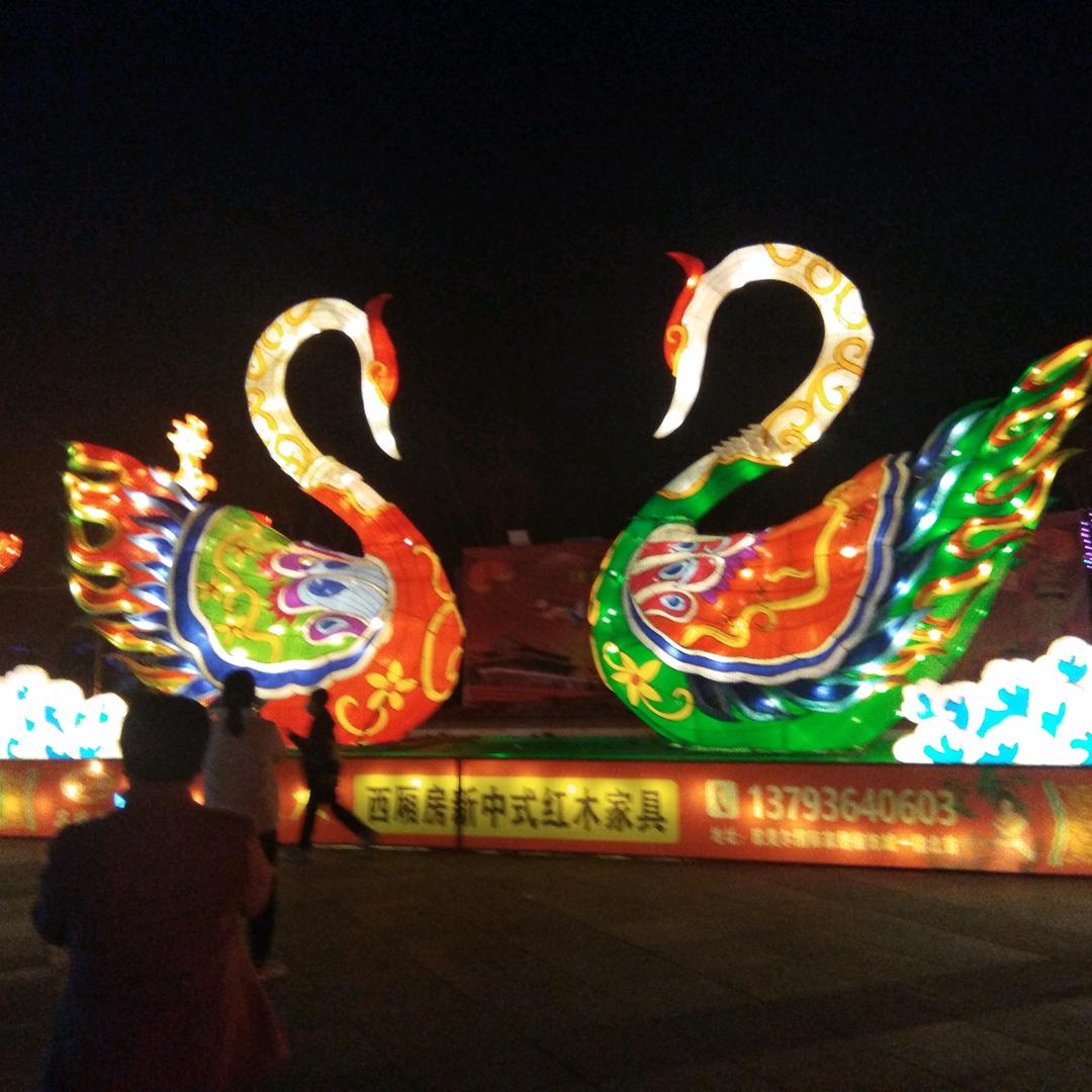 赵