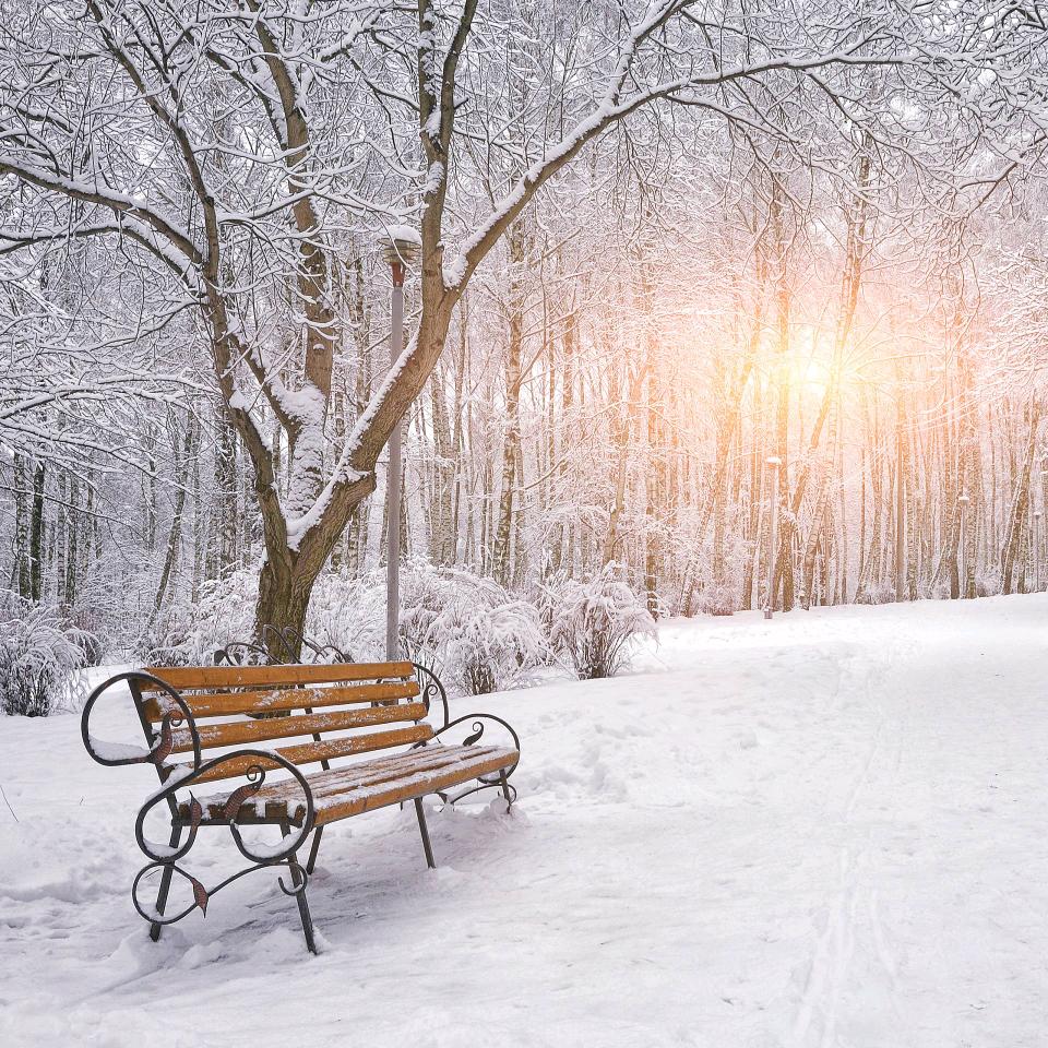 霓虹灯下的孤影