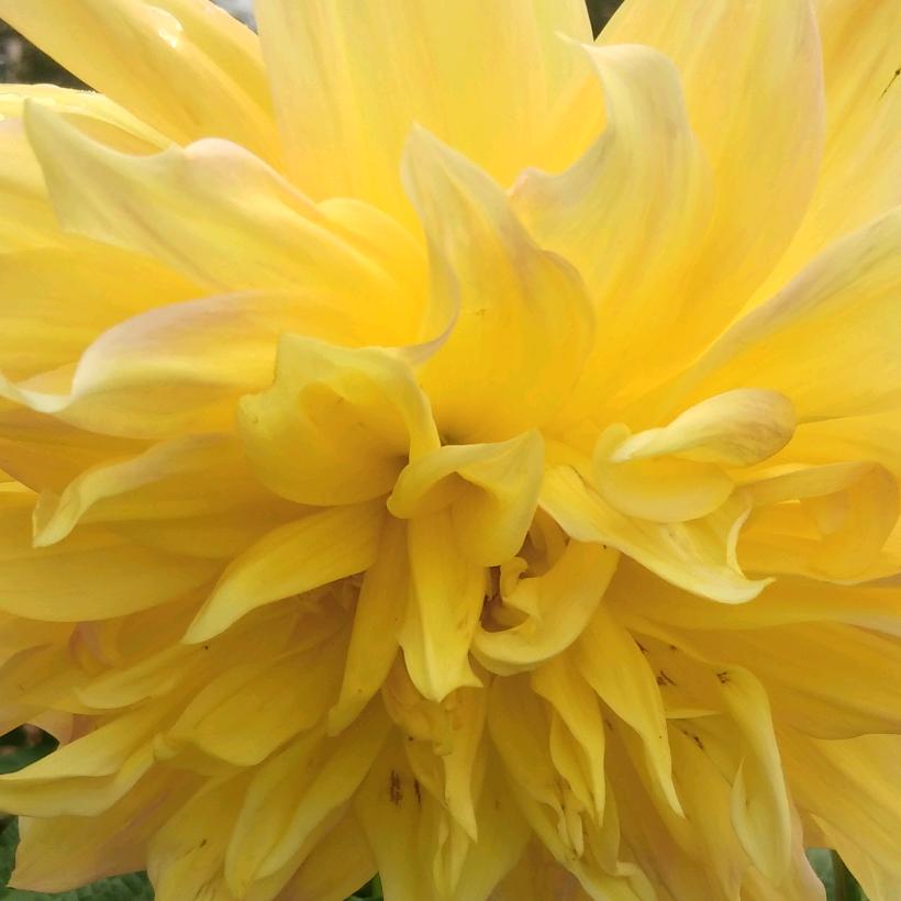 丑得刚刚好👌👌