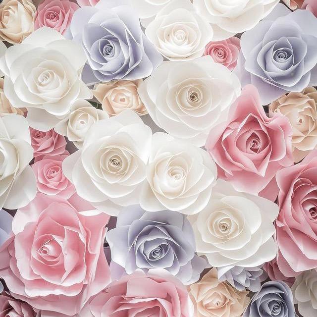 💕未来可期💕