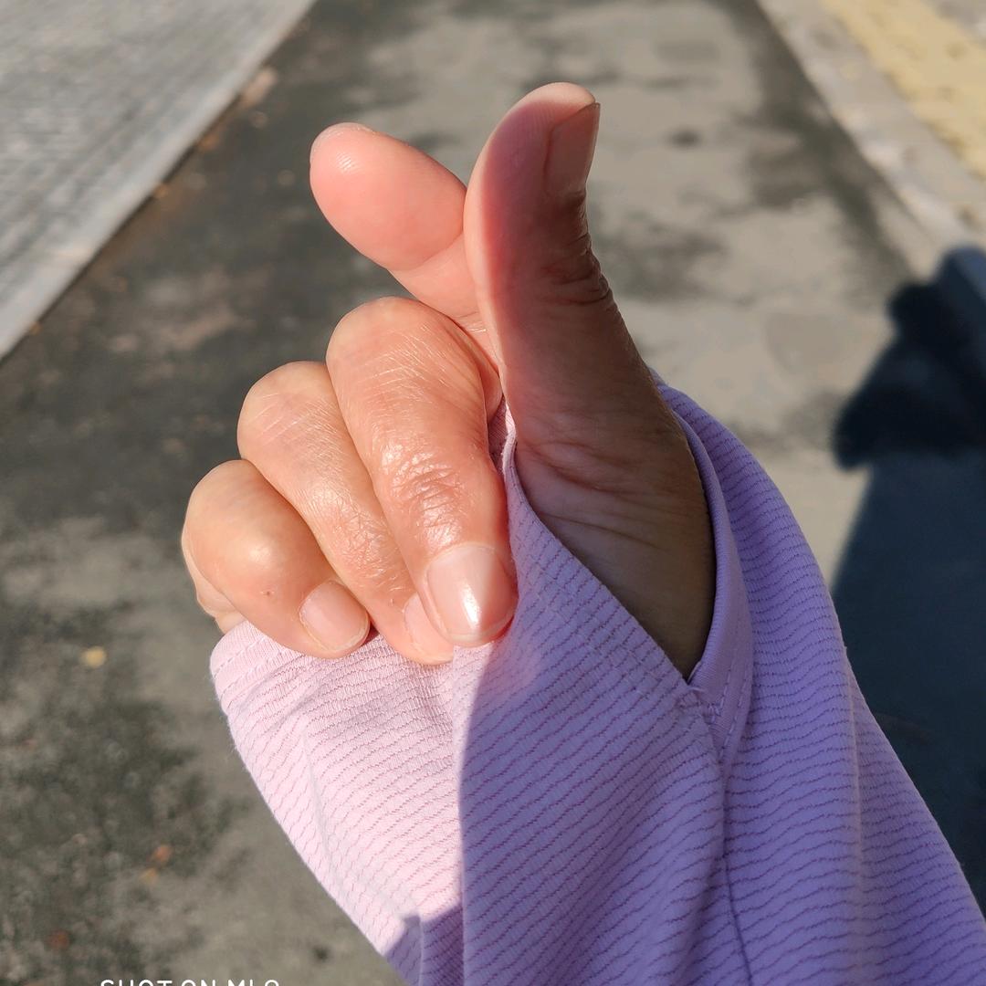诗美画