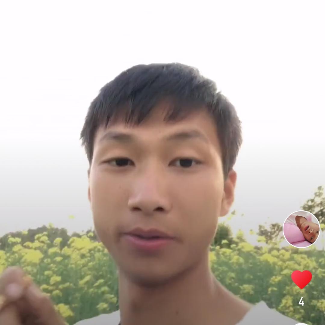 长期收各种不听话 不好好吃料的猪牛马