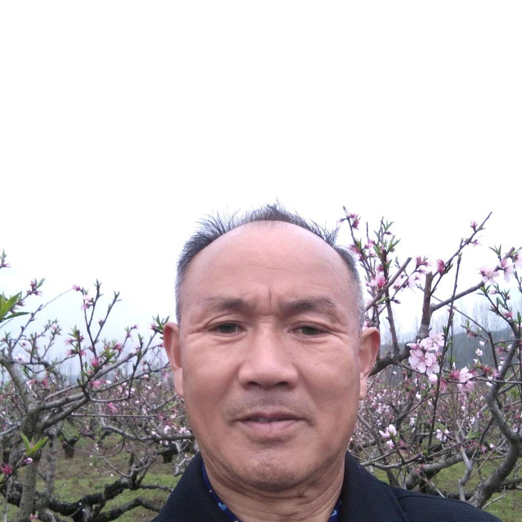 老袁