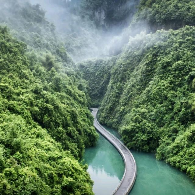 口水鱼🏮815🏮