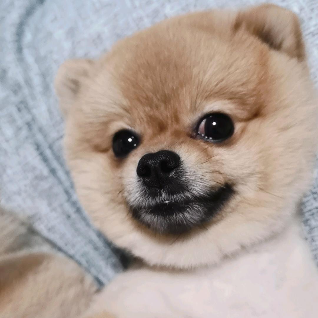 乔姐