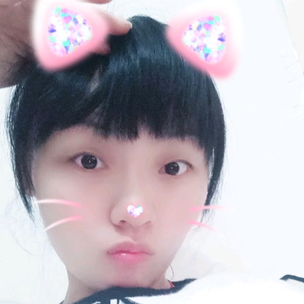 只想做你的呆子