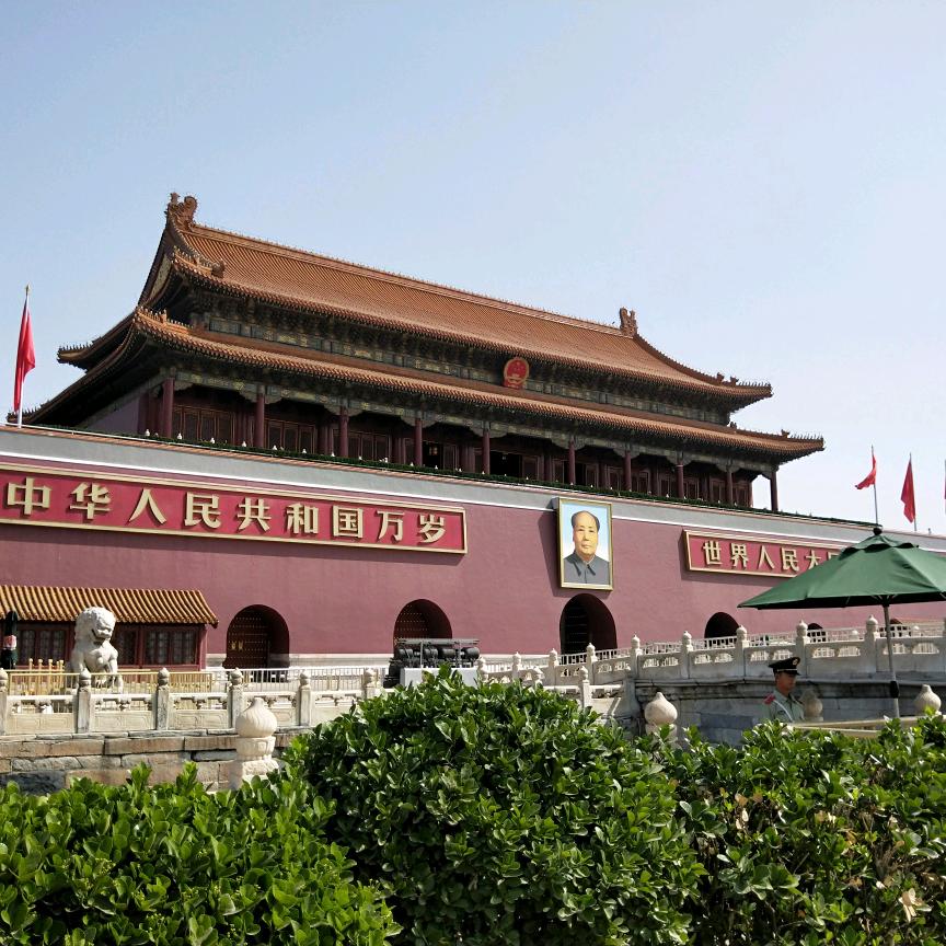 漫漫人生路——美洋宠物繁殖