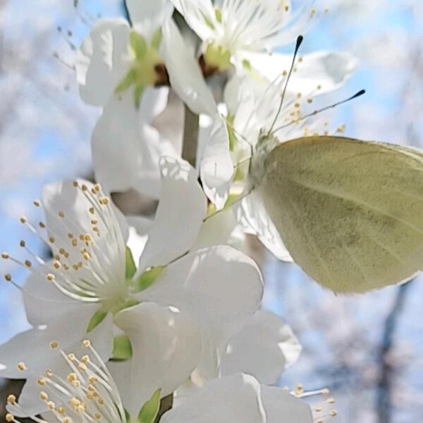 尐爭尐吵尐甜蜜