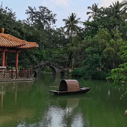 艾叶草