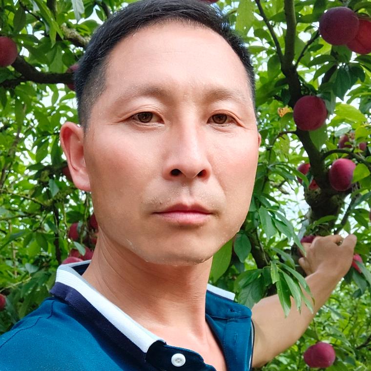 四季鲜果园～蔡华平