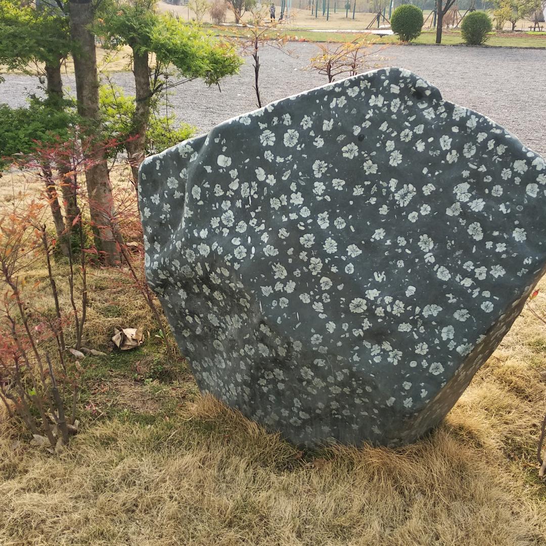 石头