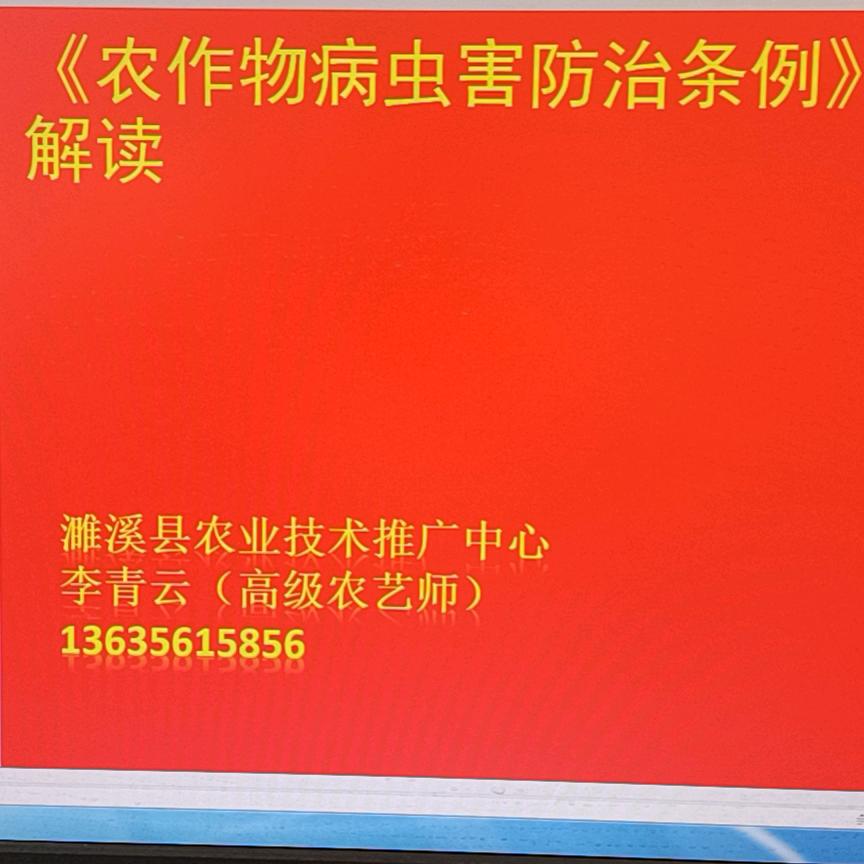 高级农艺师李青云