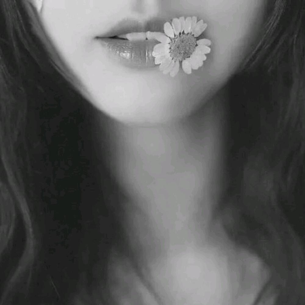 挽巷