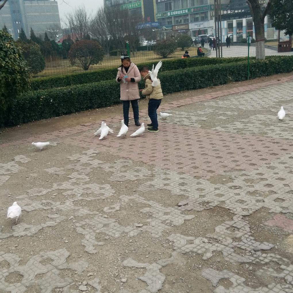 姚要乐