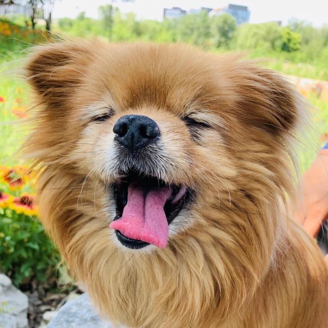 若有缘、再相见！҈҉҈҉҈҉҈҉҈҉҈҉