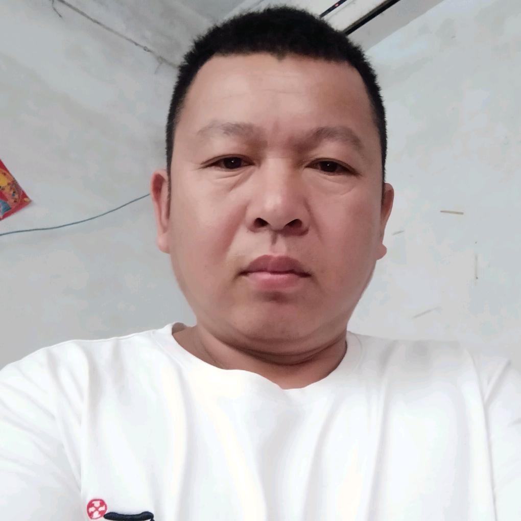 老马不老