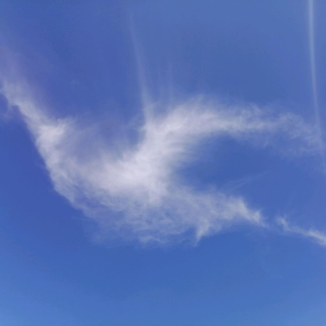 小橙子头像