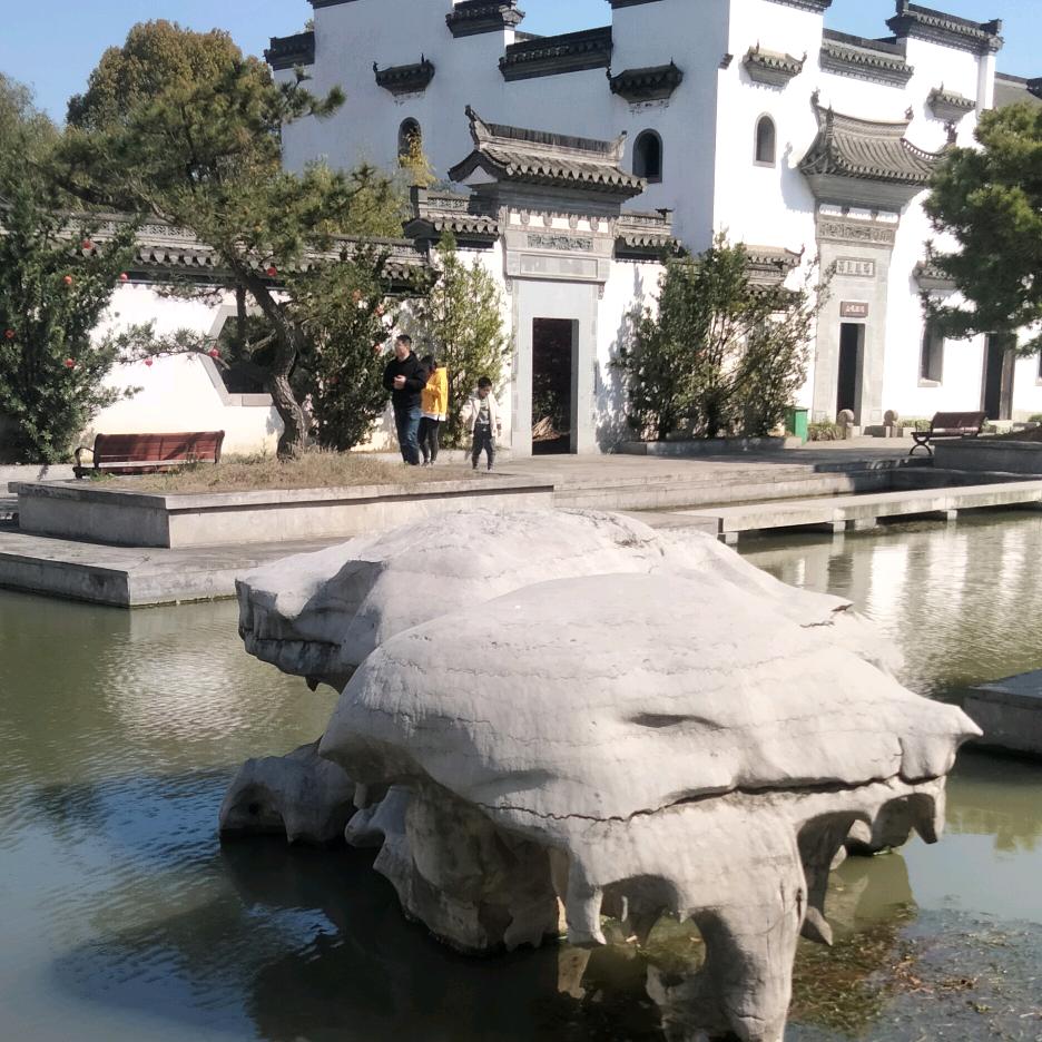君子兰永恒不变